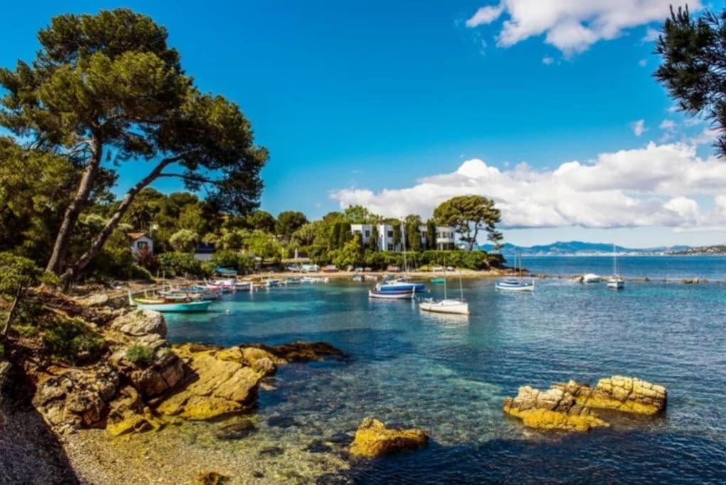 Charmant Studio Renove A Antibes, Plage A 10 Min A Pied 外观 照片