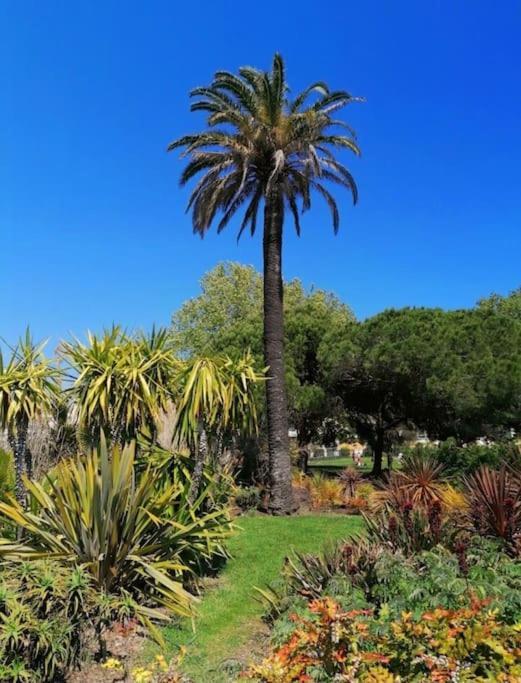 Charmant Studio Renove A Antibes, Plage A 10 Min A Pied 外观 照片